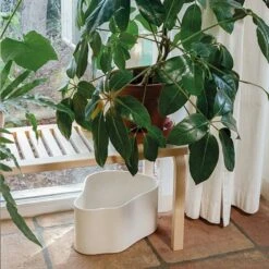 Artek Riihitie Plant Pot A, Large, White Gloss 8 Artek Riihitie Plant Pot A, Large, White Gloss -Artek 397Artek iso FV