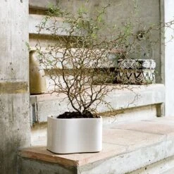 Artek Riihitie Plant Pot A, Small, White Gloss 8 Artek Riihitie Plant Pot A, Small, White Gloss -Artek 398Artek iso FV 1