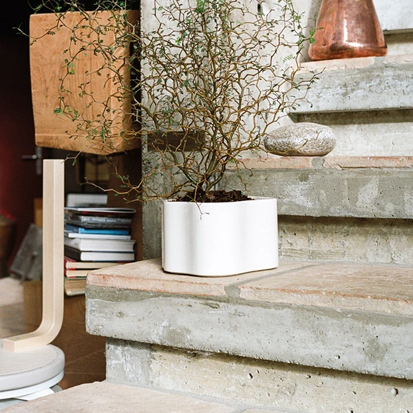 Artek Riihitie Plant Pot B, Small, White Gloss 3 Artek Riihitie Plant Pot B, Small, White Gloss - Image 3