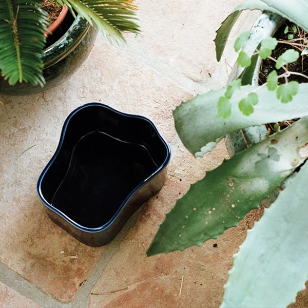 Artek Riihitie Plant Pot B, Small, Blue Gloss 3 Artek Riihitie Plant Pot B, Small, Blue Gloss - Image 3