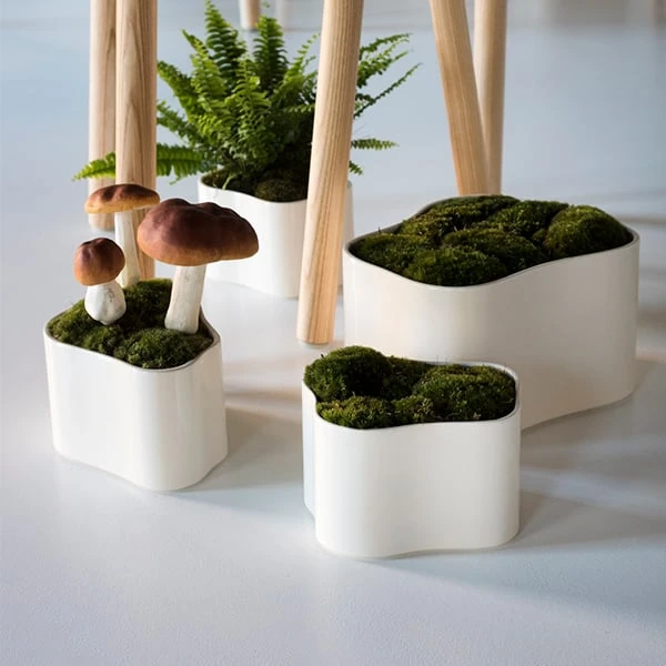 Artek Riihitie Plant Pot A, Small, White Gloss 4 Artek Riihitie Plant Pot A, Small, White Gloss - Image 4