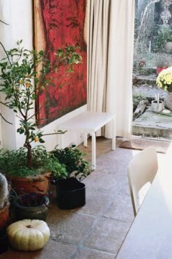 Artek Aalto Bench 153B, White 9 Artek Aalto Bench 153B, White -Artek Bench 153 white lacquer Riihitie Plant Pot B blue