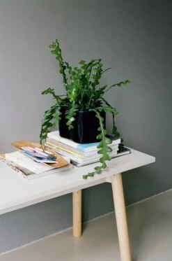 Artek Riihitie Plant Pot B, Small, Blue Gloss 11 Artek Riihitie Plant Pot B, Small, Blue Gloss -Artek Kiila Bench clear lacquer stone white top 2