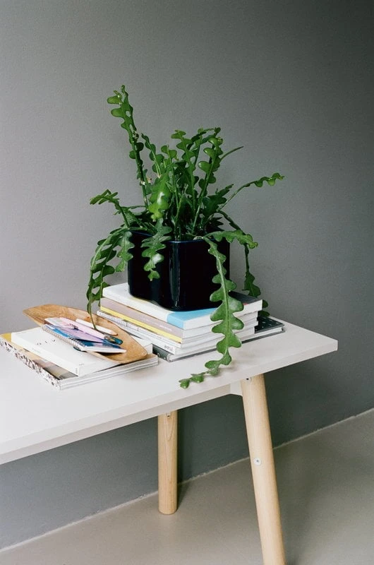 Artek Riihitie Plant Pot B, Small, Blue Gloss 6 Artek Riihitie Plant Pot B, Small, Blue Gloss - Image 6