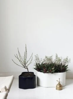 Artek Riihitie Plant Pot B, Medium, Blue Gloss -Artek Riihitie Plant Pot Photo Susanna Vento 1